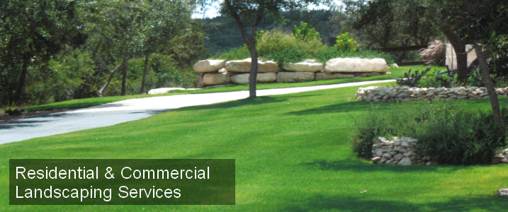 San Antonio Lawn Services